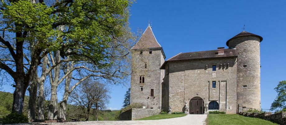 Chateau De Marigna Ξενοδοχείο Εξωτερικό φωτογραφία